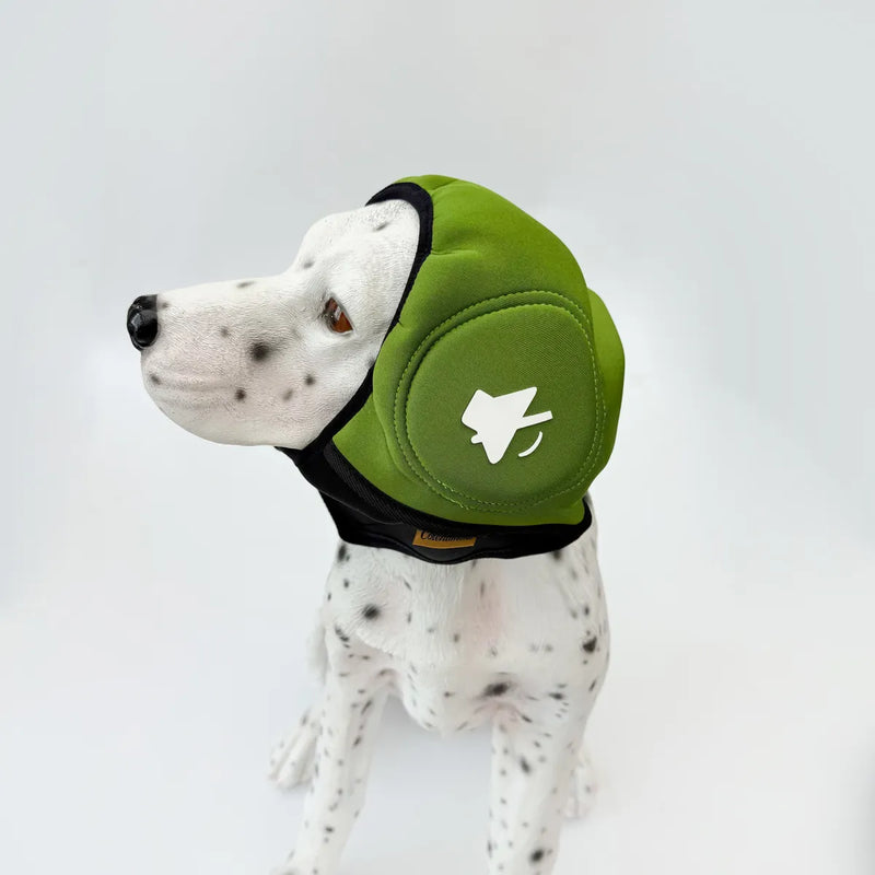 Dog wearing green adjustable calming ear muff headgear