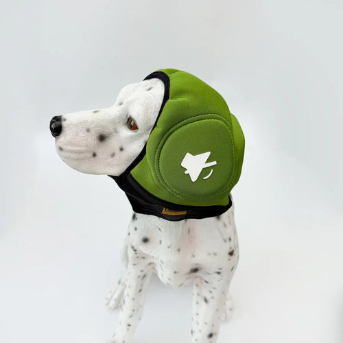 Dog wearing green adjustable calming ear muff headgear